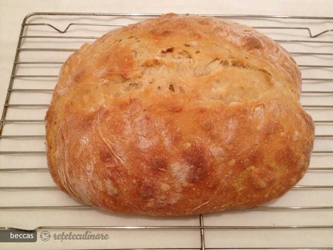 Beer Bread