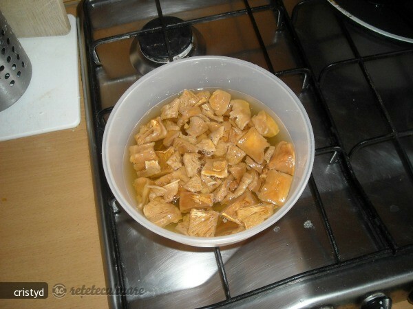 Hribovica or Dried Mushroom Soup