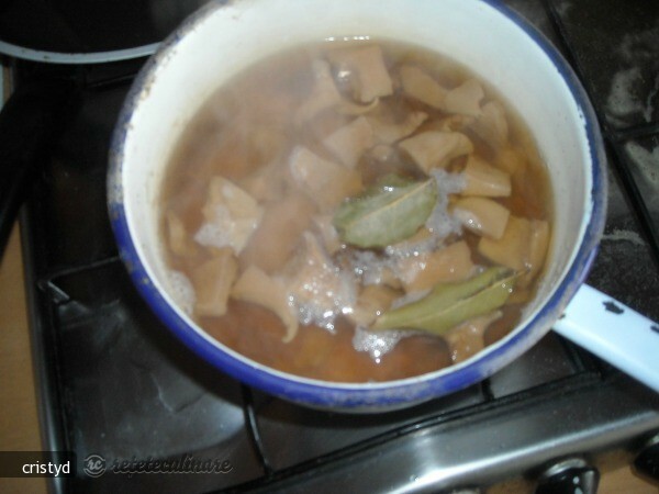 Hribovica or Dried Mushroom Soup