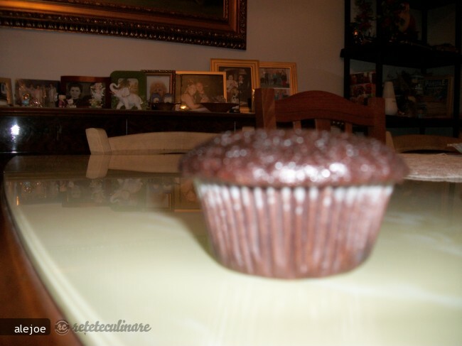 Cocoa and Chocolate Muffins