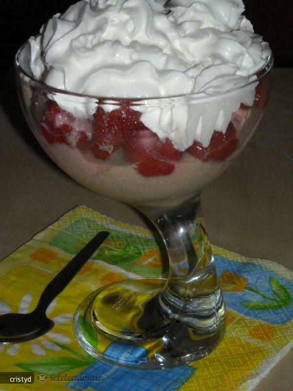 Coffee and Raspberry Ice Cream with Chocolate Cream