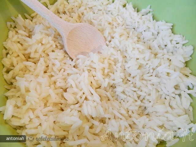 Baked Rice (with Bechamel Sauce)