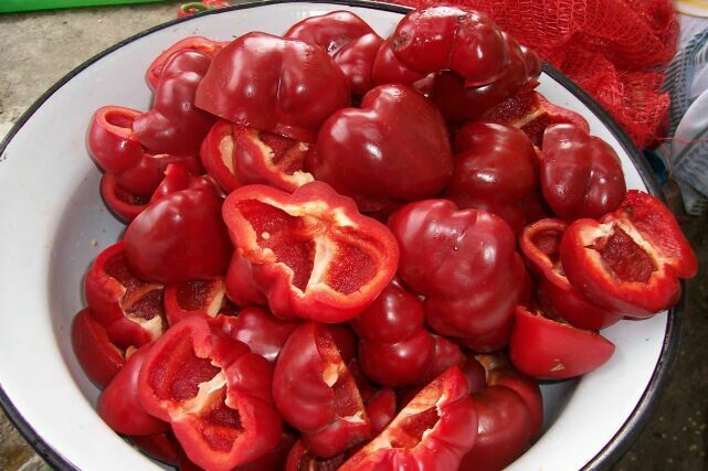 Pepper paste in a jar