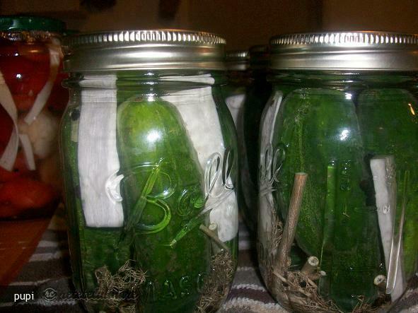 Cold Pickled Cucumbers