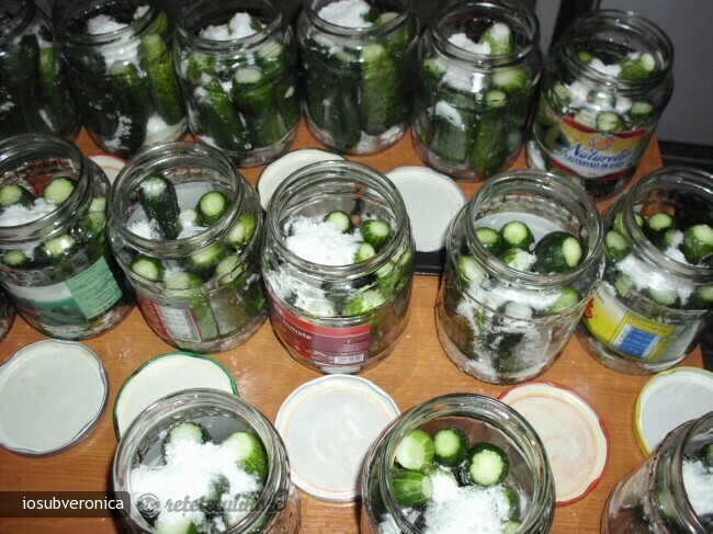 Bulgarian Cucumbers in Vinegar