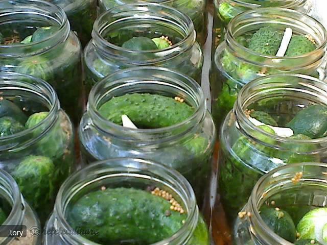 Cucumbers in Vinegar I