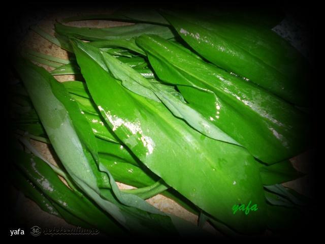 Bear Garlic Pasta