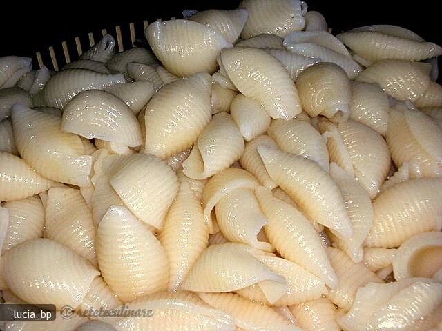 Pudding de macaronis au fromage et à la crème aigre