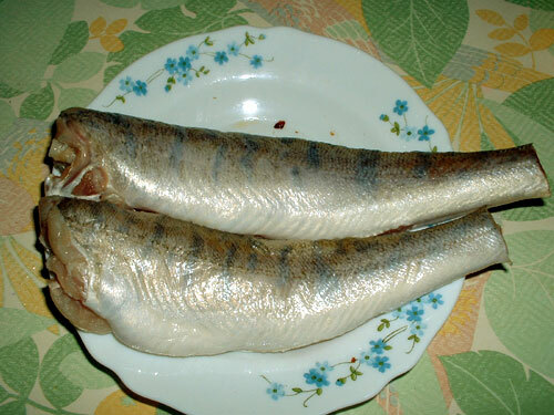 Fish with Mayonnaise