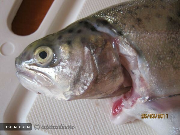 Baked Trout with Lemon