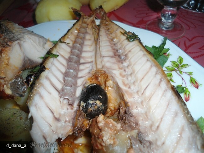 Mackerel with Olives in Red Sauce