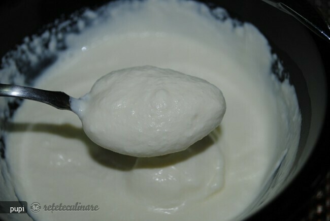 Creme Fraiche (fresh 'fake' sour cream)